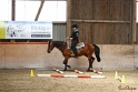 28-ApHC OT_329
